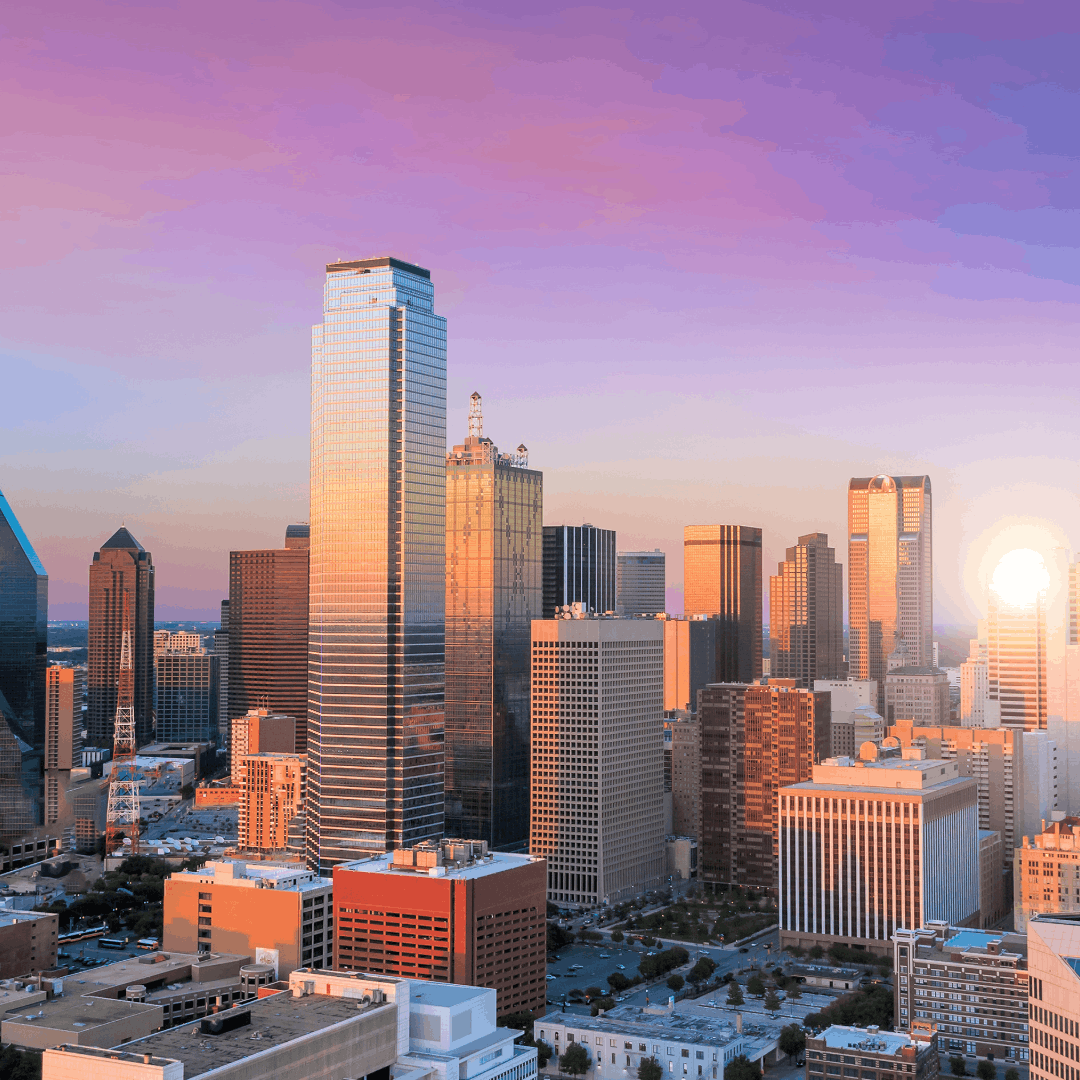 Netsuite partner dallas texas